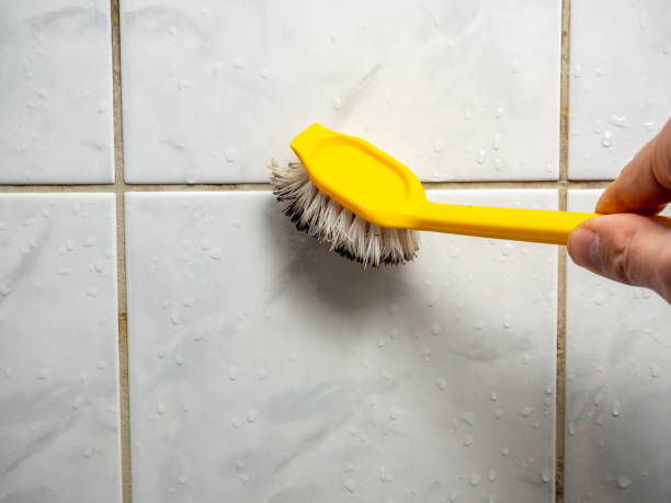 Best Mold Remediation for Specific Building Types in Bellevle, IL