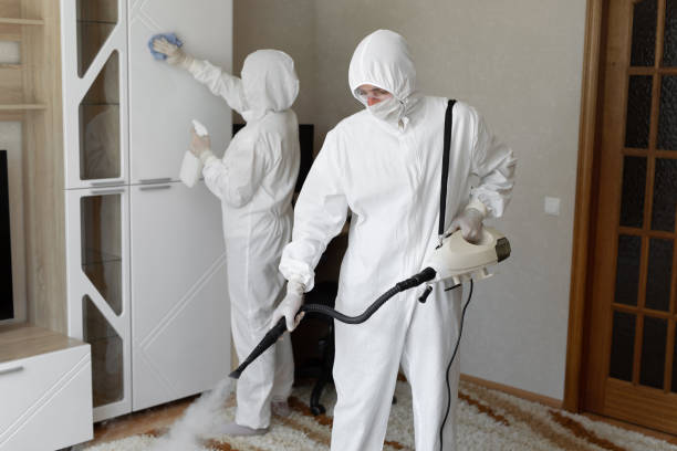 Best Mold Remediation for Schools in Bellevle, IL