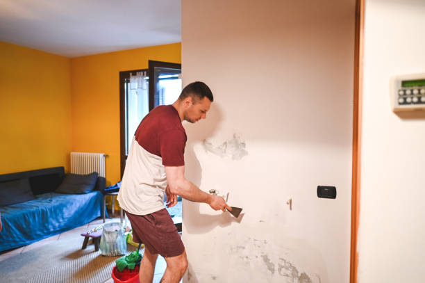 Best Commercial Mold Remediation in Bellevle, IL